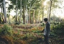 Cum să trăiești în armonie cu natura chiar și din oraș