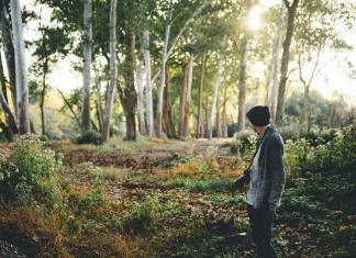 Cum să trăiești în armonie cu natura chiar și din oraș
