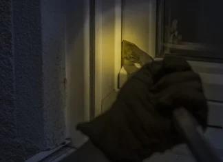 Cum să vă asigurați casa cu stil cu sau alarmă de ceață de design