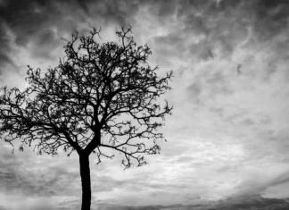 Cum vă poate îmbunătăți viața gândirea la moarte