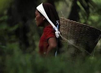 De ce ceea ce nu te ucide te face mai puternic