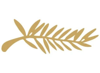 Festivalul de film de la Cannes, istorie și premii