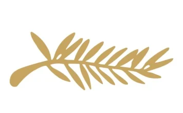 Festivalul de film de la Cannes, istorie și premii