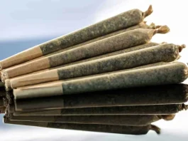 Ghidul simplu pentru rosturi de rulare și tocituri