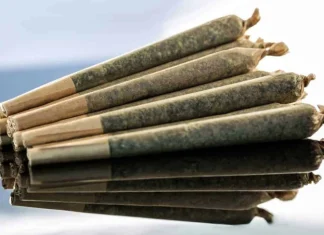 Ghidul simplu pentru rosturi de rulare și tocituri