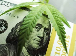 Legalizare și tendință de reformă a canabisului în SUA