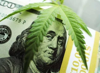 Legalizare și tendință de reformă a canabisului în SUA