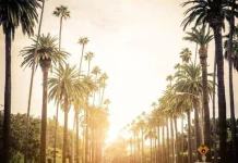 Milionarii auto-făcuți dezvăluie secretele