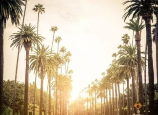 Milionarii auto-făcuți dezvăluie secretele