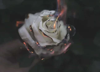 Înnoiește-ți Spiritul cu 10 obiceiuri