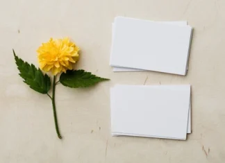 Scenariul de film: o parte importantă a succesului său