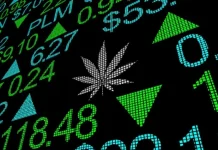 Sunt stocurile de cannabis o investiție bună?