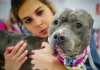 Top 10 animale de renume mondial pe care trebuie să le cunoști