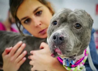 Top 10 animale de renume mondial pe care trebuie să le cunoști