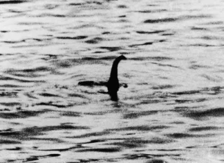 TOP 10 cei mai înfricoșători monștri pe care oamenii susțin că i-au văzut