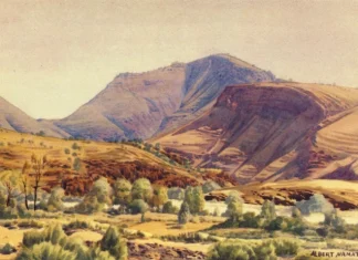 Top 10 cei mai populari artiști indigeni din lume