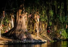 TOP 10 CELE MAI BANTUITE PADURI DIN LUME