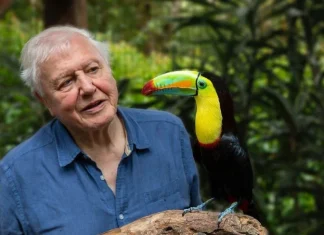 Top 10 cele mai bine cotate documentare despre animale sălbatice