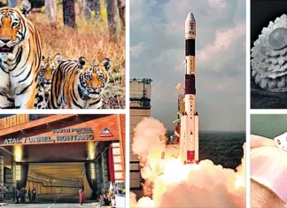 Top 10 cele mai bizare recorduri mondiale realizate de indieni