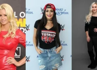 Top 10 Cele mai frumoase Dive WWE