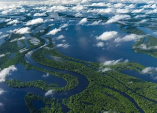 Top 10 cele mai mari râuri din lume