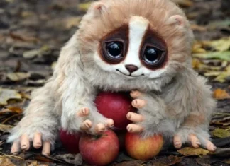 Top 10 cele mai mortale creaturi de pe Pământ