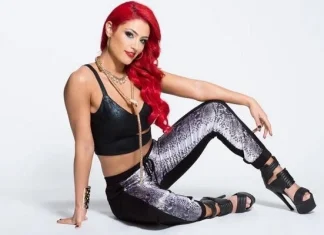 Top 10 cele mai tari dive WWE de urmărit în 2018-19