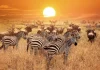 Top 10 locuri incredibile și cele mai frumoase de vizitat în Africa