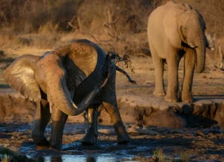 Top 10 lucruri, locuri și fapte uimitoare care pot lăsa pe oricine nedumerit