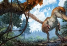 Top 10 mistere ale lumii pe care nici măcar știința nu le poate explica