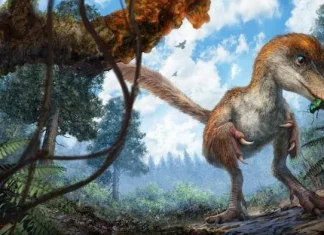 Top 10 mistere ale lumii pe care nici măcar știința nu le poate explica