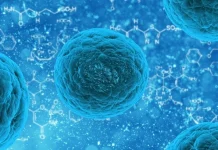 Top 10 motive pentru care 2016 a fost grozav pentru știință