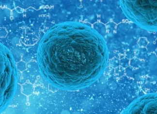 Top 10 motive pentru care 2016 a fost grozav pentru știință