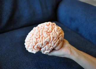 Top 10 obiecte imprimate 3D care vă vor uimi mintea