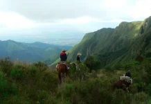 Top 10 păduri de nori exotice din jurul globului