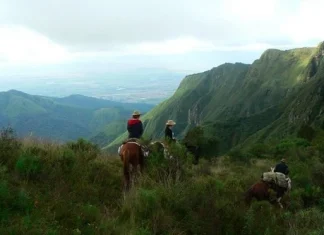 Top 10 păduri de nori exotice din jurul globului