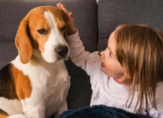 Top 10 rase de câini pentru copii și familii