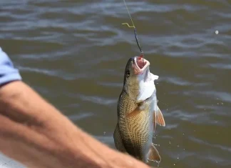 Top 5 locuri de pescuit care merită vizitate