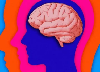 Cele mai interesante 72 de fapte despre creierul uman