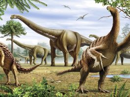 Top 20 de fapte interesante despre dinozauri