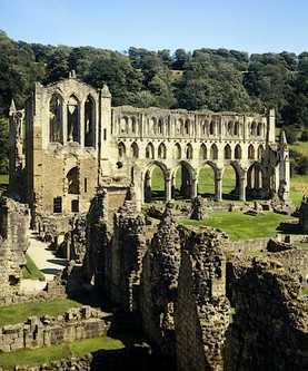 Ruinele Abatiei Rievaulx, North Yorkshire.  (Fotografie de English Heritage/Heritage Images/Getty Images)