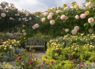 8 dintre cele mai bune case si gradini istorice din Marea Britanie