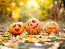 Originile Halloween-ului: Trucuri, bunatati si strazi pietruite