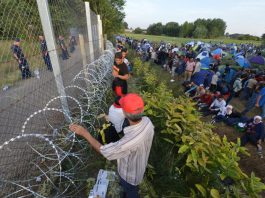 Cum a schimbat migratia lumea?