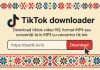 Cum să Descarci Video TikTok Fără Filigran Rapid și Simplu
